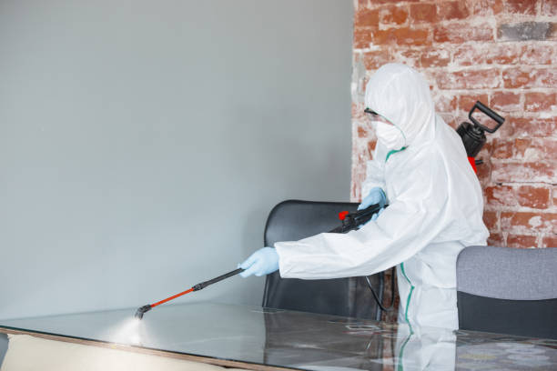 Why You Should Choose Our Mold Remediation Services in Flemington, NJ